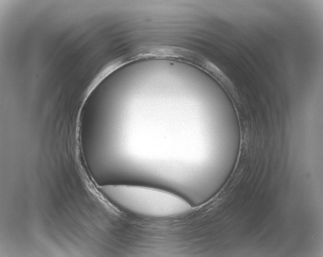 X0000080191378200612081149
