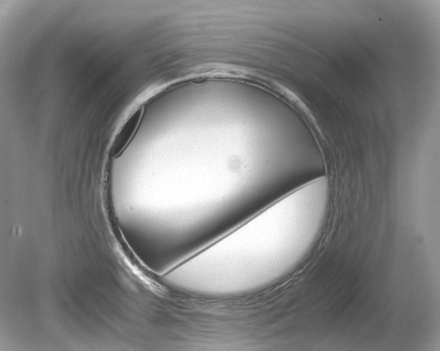 X0000080191379200612081149