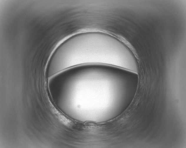 X0000080191380200612081149