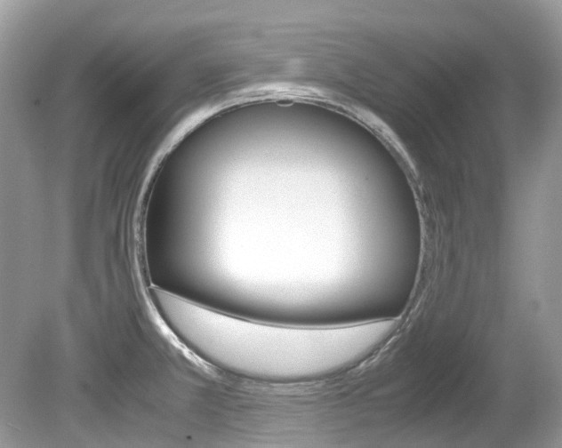 X0000080191381200612081149
