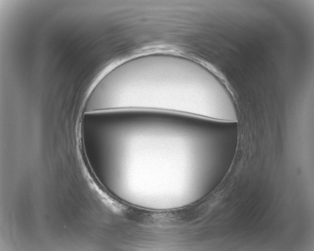 X0000080191383200612081149