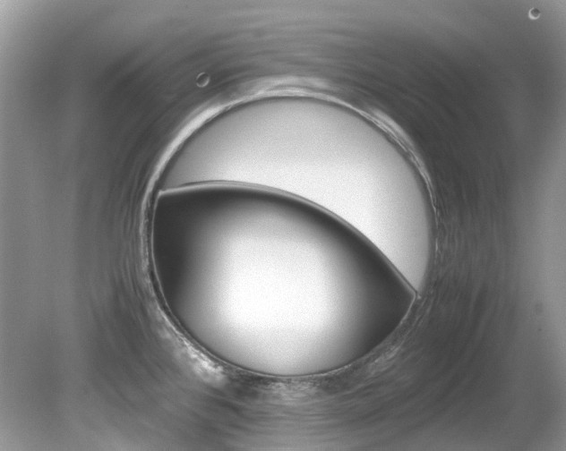 X0000080191384200612081148