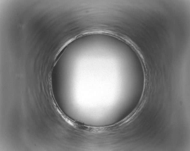 X0000080191385200612081148
