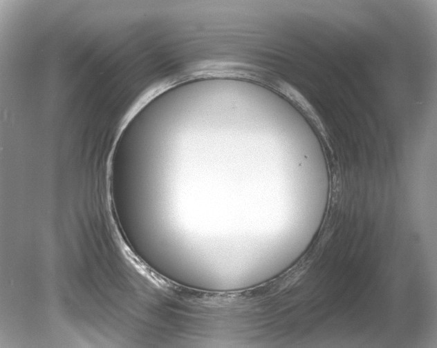 X0000080191386200612081148