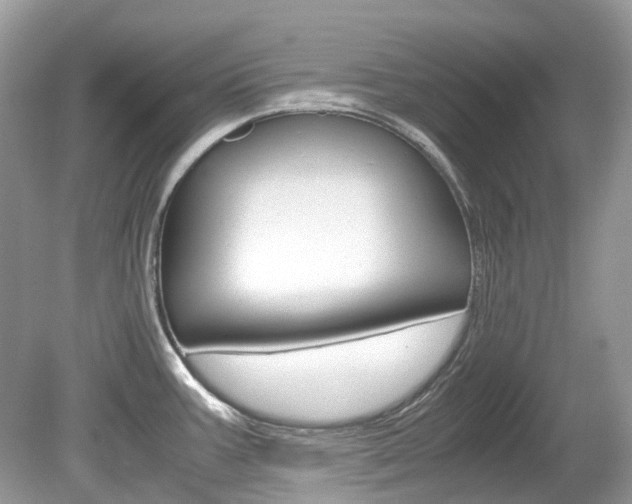 X0000080191387200612081148