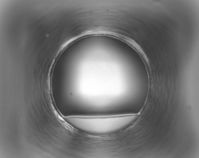 X0000080191388200612081148