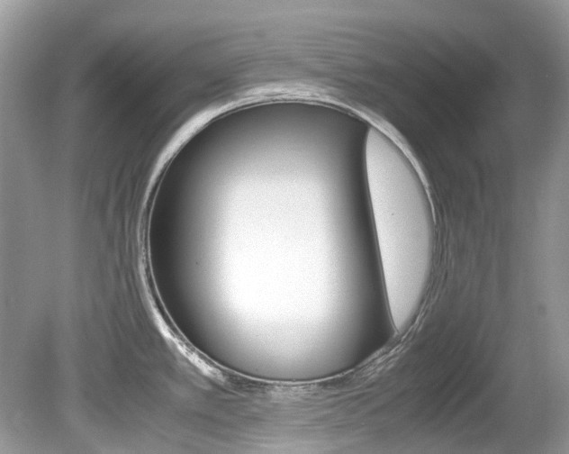 X0000080191389200612081148