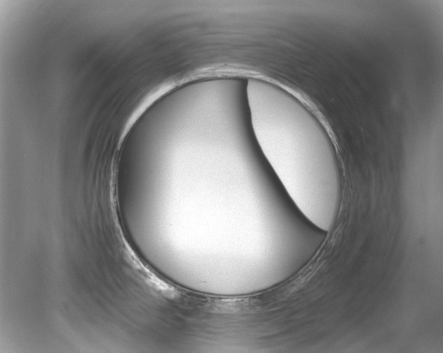 X0000080191390200612081148