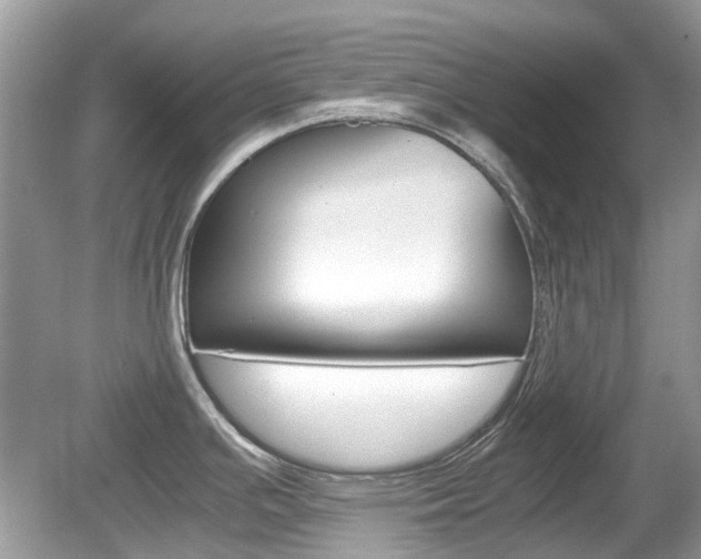 X0000080191391200612081148