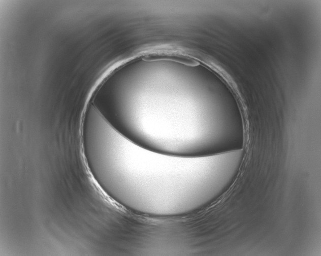 X0000080191392200612081148
