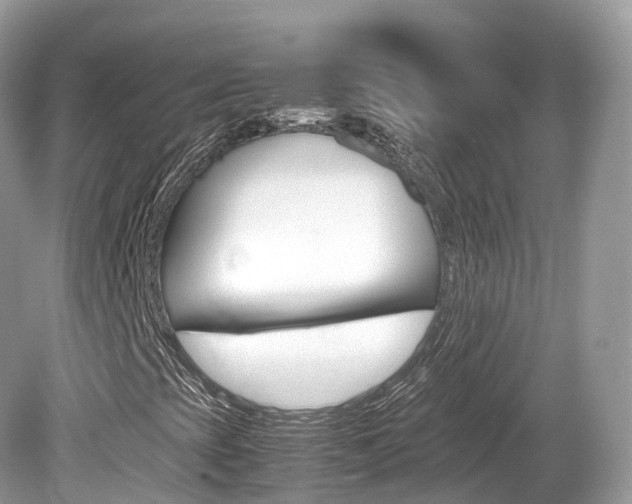 X0000080191393200612081148