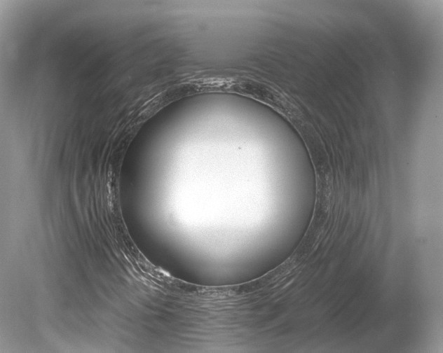 X0000080191394200612081148