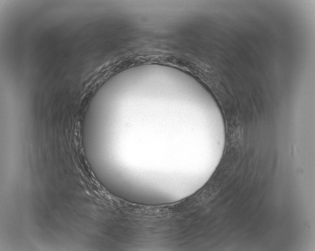 X0000080191397200612081148