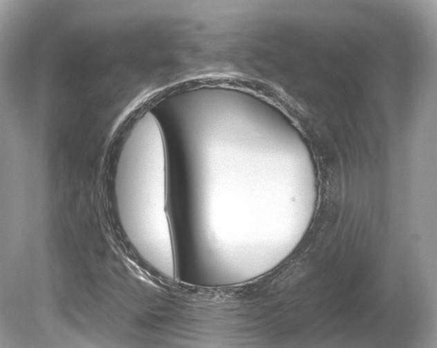 X0000080191400200612081148