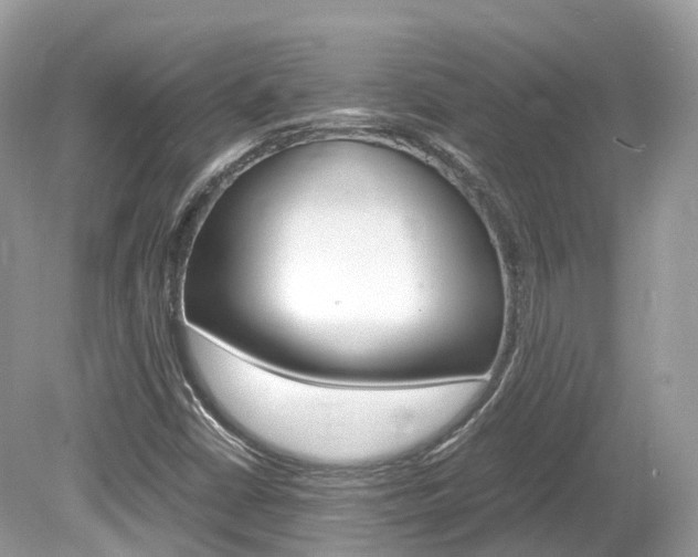 X0000080191402200612081148