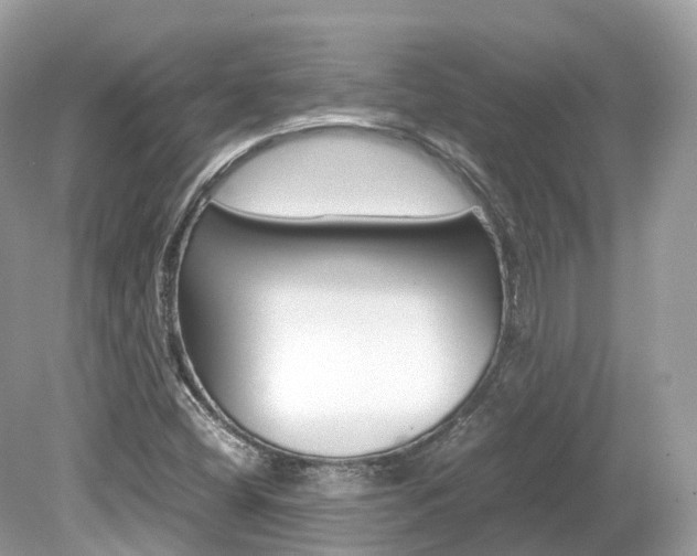 X0000080191404200612081148