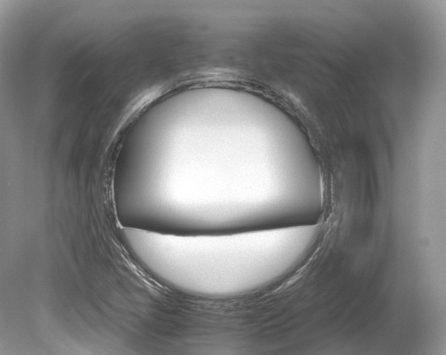 X0000080191405200612081148