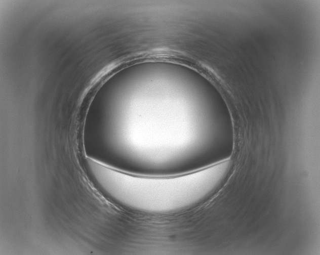 X0000080191410200612081148
