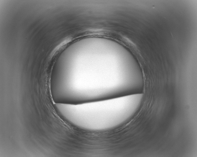X0000080191411200612081148