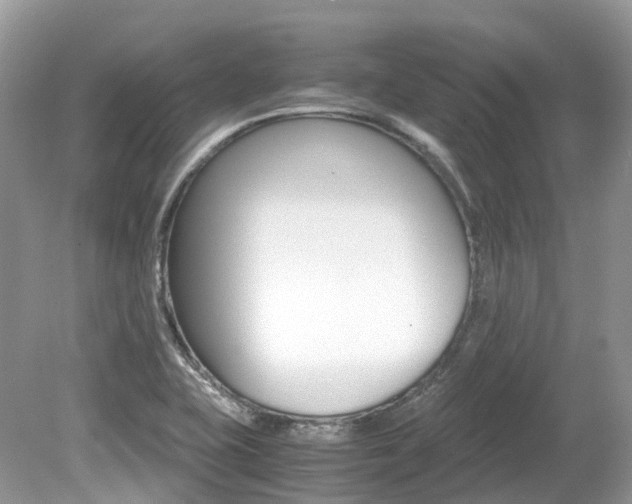 X0000080191415200612081148