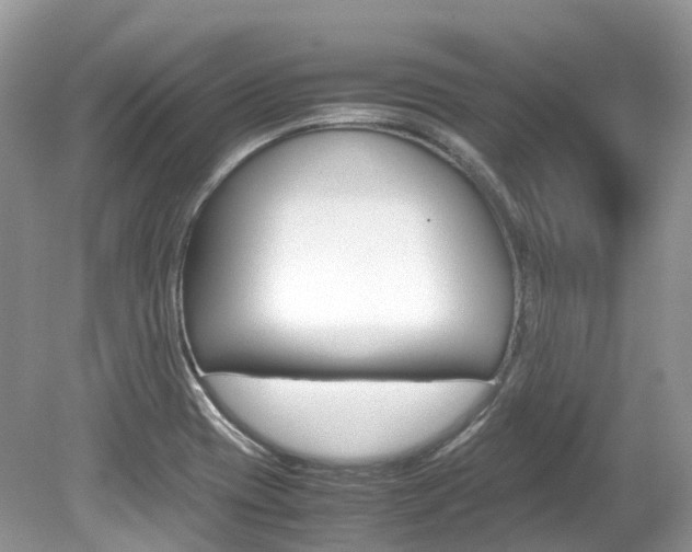 X0000080191417200612081148