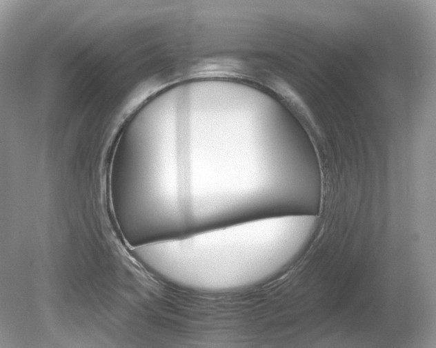 X0000080191419200612081148