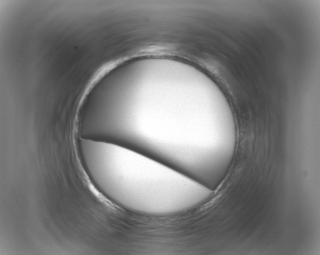 X0000080191421200612081148