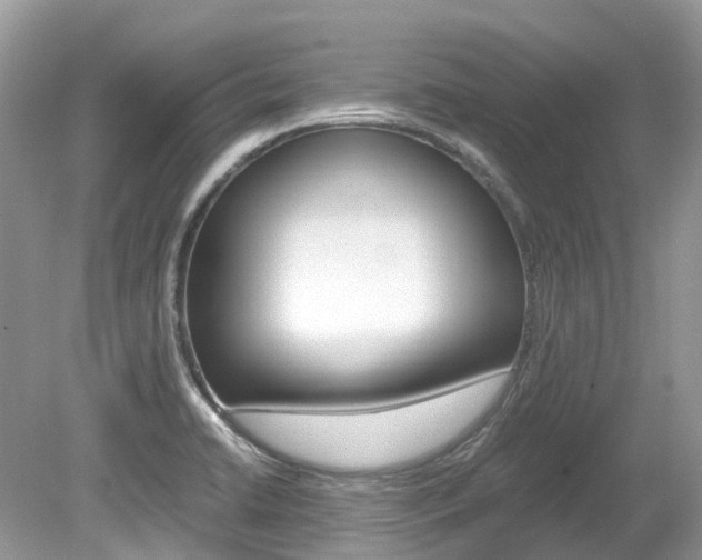 X0000080191422200612081148