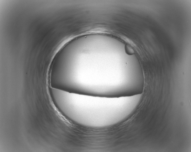 X0000080191423200612081148