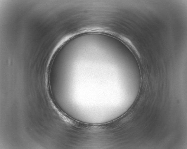 X0000080191424200612081148