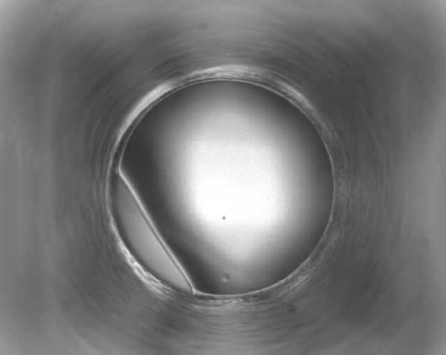 X0000080191426200612081148