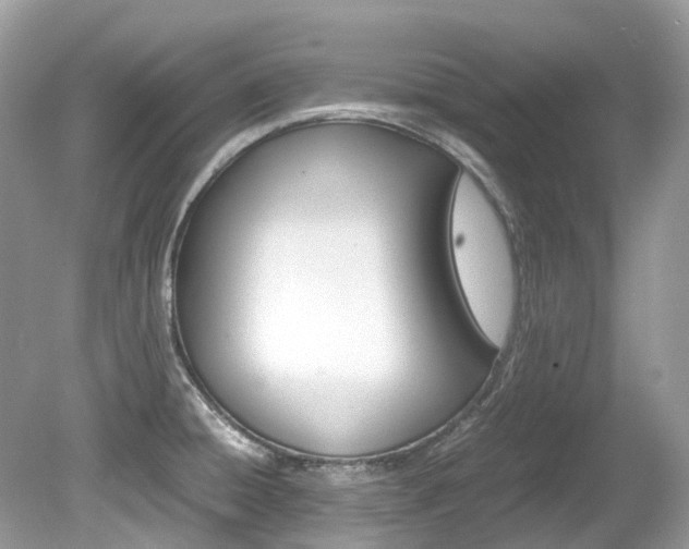 X0000080191428200612081148