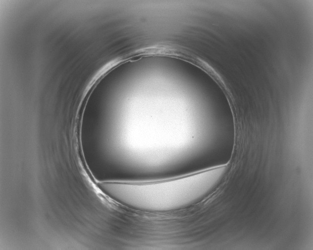 X0000080191434200612081148