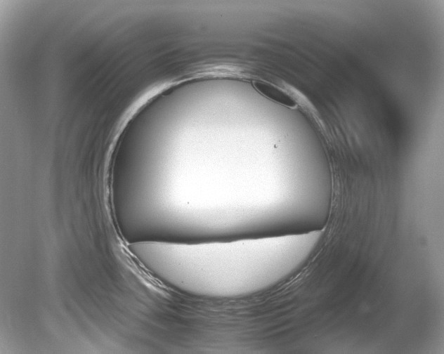 X0000080191435200612081148