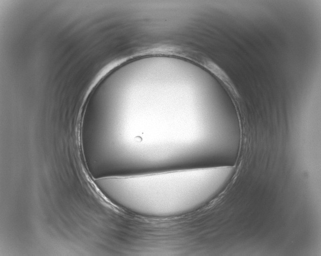 X0000080191436200612081148