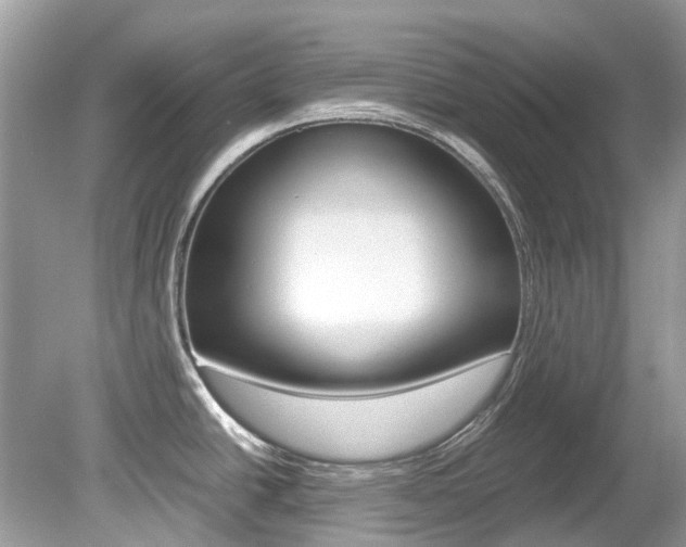 X0000080191438200612081148