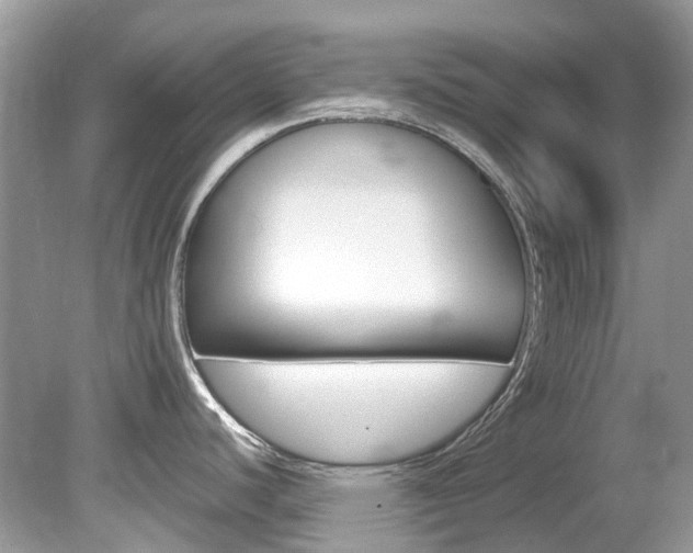 X0000080191440200612081148