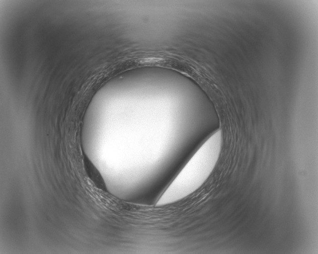 X0000080191441200612081148