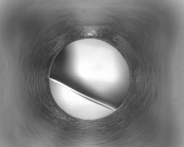 X0000080191442200612081148