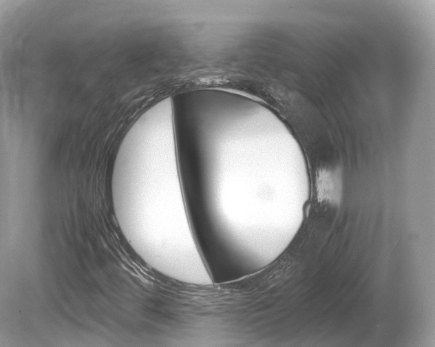 X0000080191444200612081147