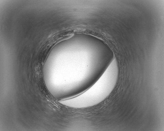 X0000080191445200612081147
