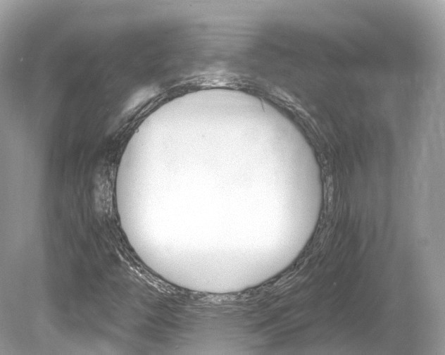 X0000080191446200612081147