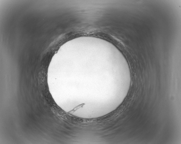 X0000080191447200612081147