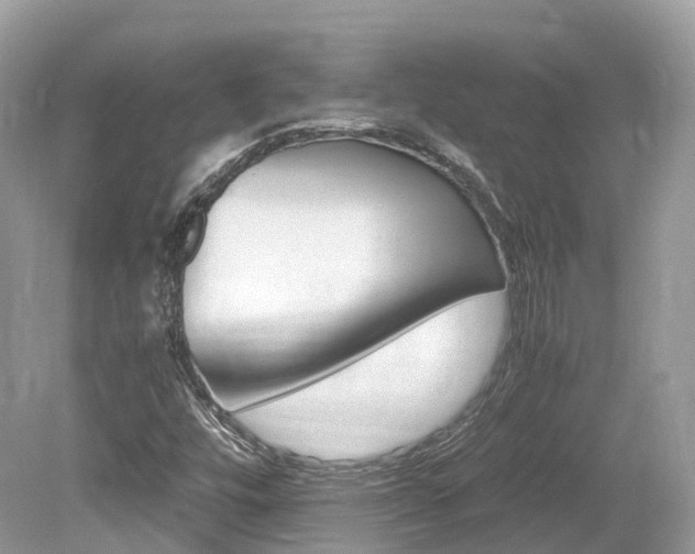 X0000080191448200612081147