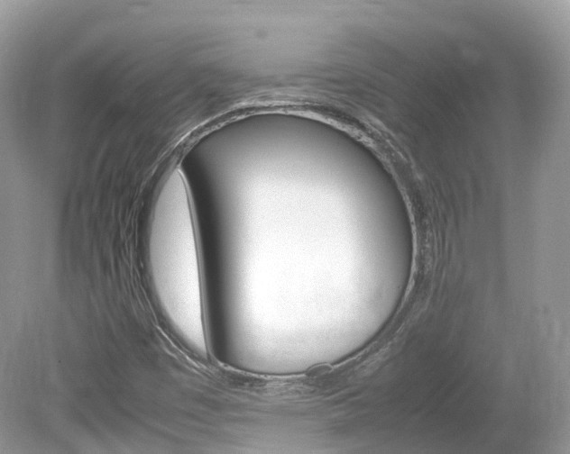 X0000080191449200612081147