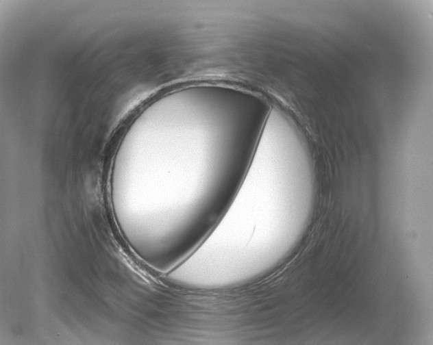 X0000080191452200612081147