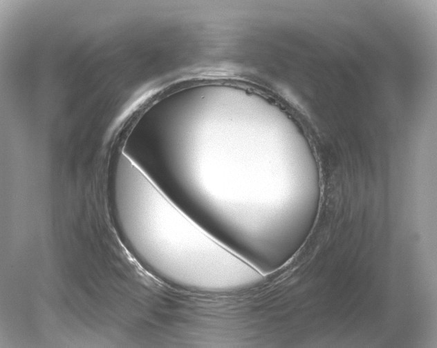 X0000080191456200612081147
