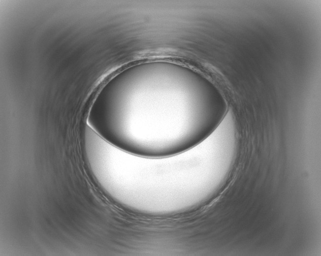 X0000080191457200612081147