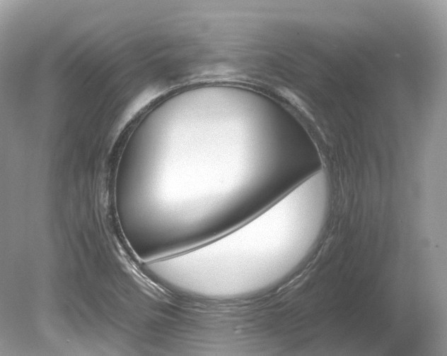 X0000080191458200612081147