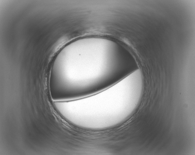 X0000080191459200612081147